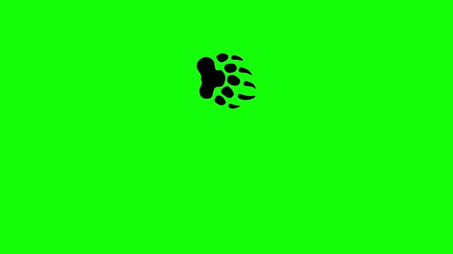 Animation of bear footprints walking on a green screen. Black feet with sharp claws. The animal's footprints appear one by one.