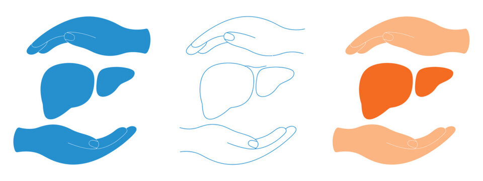 Liver organ icon set with hand offering designed for healthcare awareness organ support donation concept minimal flat vector illustration for medical use