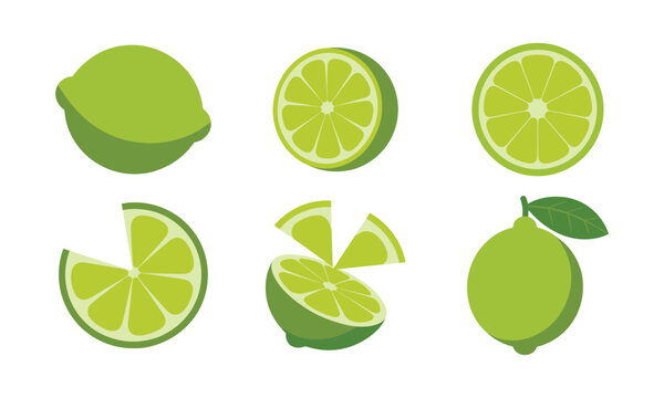 Collection of lime citrus fruit icons featuring whole pieces slices and segments.