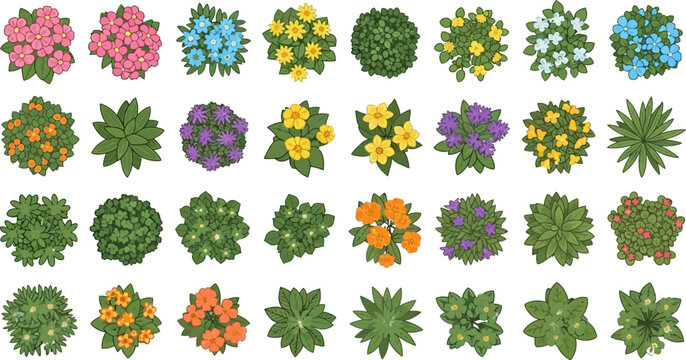 Garden plants and flowers top view vector illustration set for landscaping design architectural site plans and garden mapping