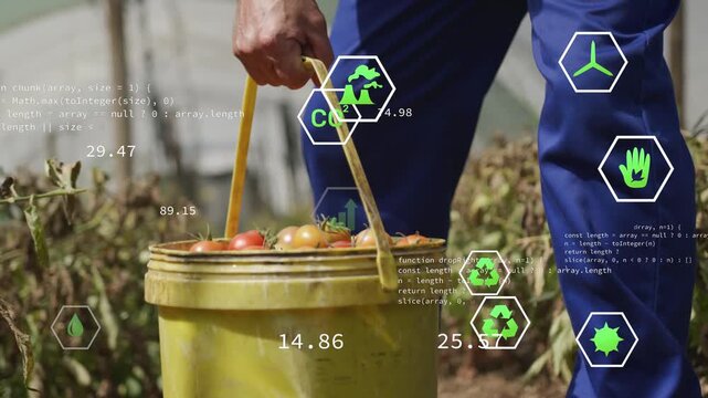 Farmer harvesting tomatoes lowering yellow bucket in greenhouse, hex icons updating with metrics