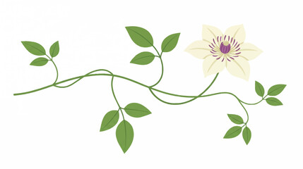 Obraz premium Elegant White Flower with Green Leaves on Vine.