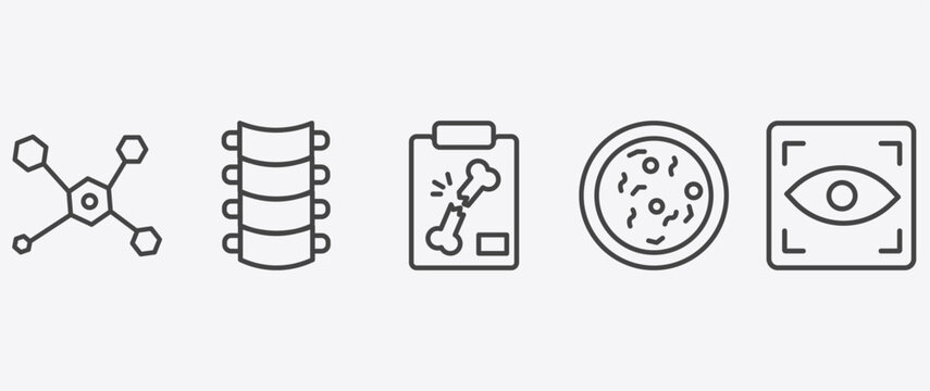medical and healthcare icon set with spinal column, x ray of bones, bacteria, eye scanner medical signs in flat outline style