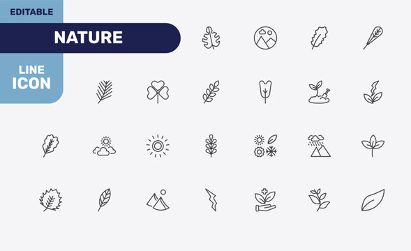 nature icon set with leaf monstera, landscape inside frame, pedunculate, orange leaf signs in flat outline style