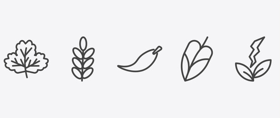 nature icon set with acacia, falcate, philodendron, natural energy signs in flat outline style © Abstract