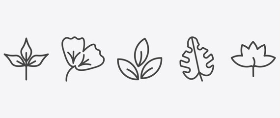 nature icon set with ginkgo, tree leave, leaf monstera, liquidambar leaf signs in flat outline style © Abstract