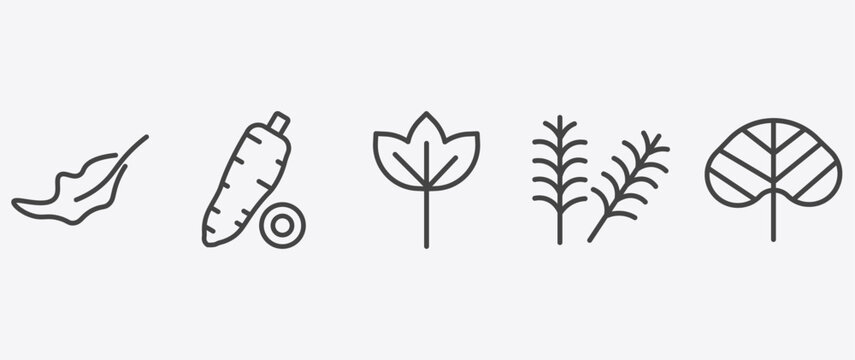 nature icon set with yucca, sassafras leaf, yew leaf, reniform signs in flat outline style
