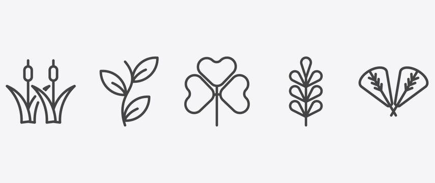 nature icon set with perfoliate, trifoliate ternate, pecan leaf, plum leaf signs in flat outline style