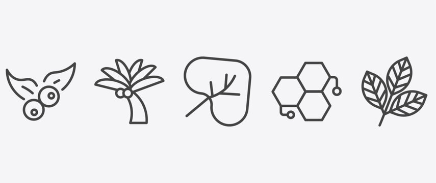 nature icon set with coconut tree standing, cordate, chemical structure, rowan leaf signs in flat outline style