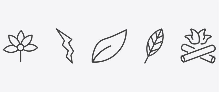 nature icon set with element, orange leaf, lanceolate, camping bonfire signs in flat outline style
