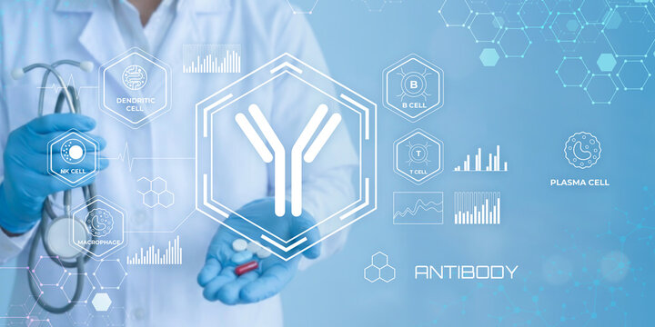 Medical professional holding antibody illustration with immune cell types and data charts in futuristic digital interface design