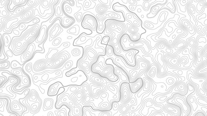 Topography background. Vector banner. Topography map background. Vector geographic contour map. Background of the topographic map. © Mst