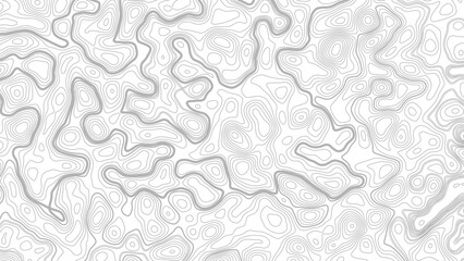Topography background. Vector banner. Topography map background. Vector geographic contour map. Background of the topographic map. © Mst
