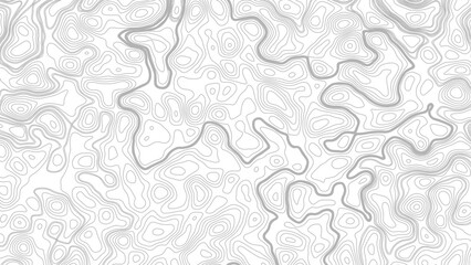 Topography background. Vector banner. Topography map background. Vector geographic contour map. Background of the topographic map. © Mst
