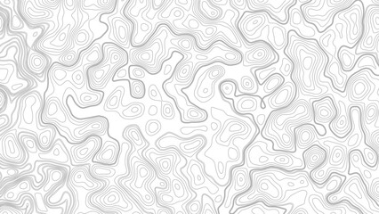 Topography background. Vector banner. Topography map background. Vector geographic contour map. Background of the topographic map. © Mst