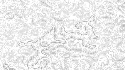 Vector geographic contour map. Background of the topographic map. Topography background. Vector banner. Topography map background. © Mst