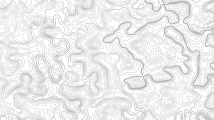 Vector geographic contour map. Background of the topographic map. Topography background. Vector banner. Topography map background. © Mst
