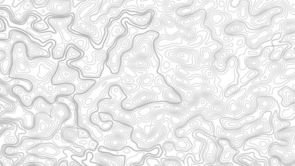 Vector geographic contour map. Background of the topographic map. Topography background. Vector banner. Topography map background. © Mst
