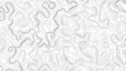 Topography background. Vector banner. Topography map background. Vector geographic contour map. Background of the topographic map. © Mst