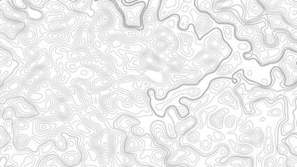 Topography background. Vector banner. Topography map background. Vector geographic contour map. Background of the topographic map. © Mst