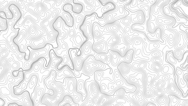 Topography background. Vector banner. Topography map background. Vector geographic contour map. Background of the topographic map.