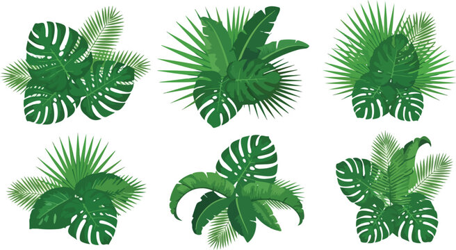 Isolated vector illustration set of green leaves featuring nature elements like palm fern tropical foliage and branch patterns with cannabis hemp and pine fir tree herbs