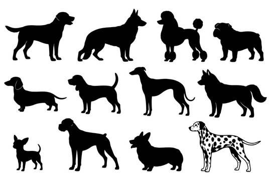 Silhouettes of various dog breeds including dalmatian and poodle.