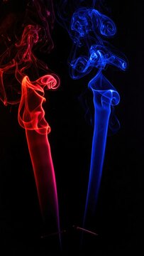 a deep, solid black background with no visible texture or detail, creating a clean, dramatic, and minimalist backdrop