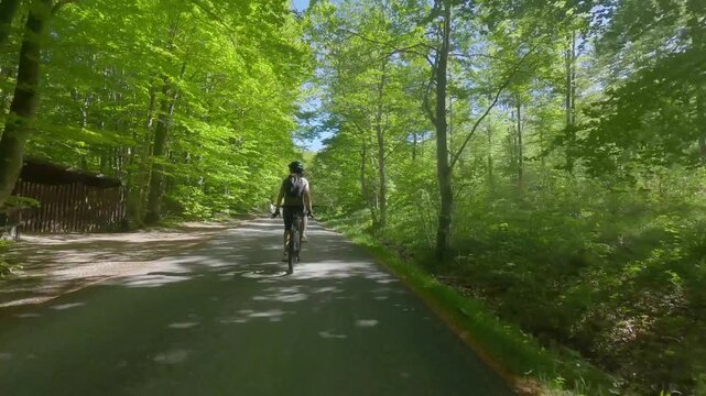 GIRARE IN BICI PER LE FORESTE 