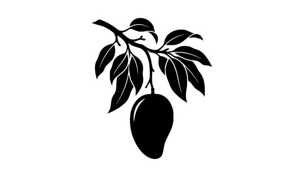 Mango tree silhouette set tropical fruit branch icon vector illustration isolated on white background