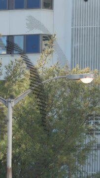 Vertical video: Window film shifting, streetlamp glowing, branches swaying, revealing urban facades