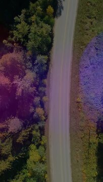 Vertical video: Drone flying over treelined road sun making flares while showing two figures moving
