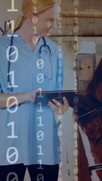 Vertical video: Vet tapping tablet in barn with binary code, guiding horse sniffing tablet for exam