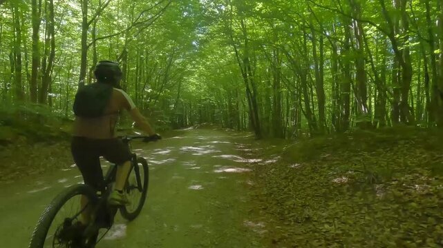 GIRARE IN BICI PER LE FORESTE 