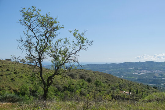 Landschaft in der Axarqu&iacute;a, Andalusien