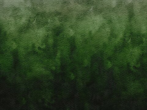 Green moss-covered wall background. Damp concrete background. Textured background with gradient of a lighter, weathered green at the top to deeper, shadowy tones at the bottom.