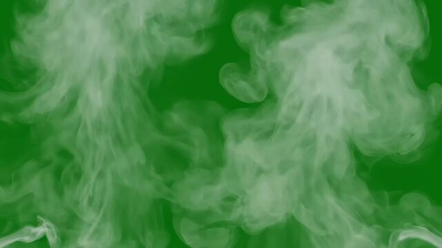Abstract green smoke clouds drift across a vivid neon background, creating a cinematic seamless loop for modern design