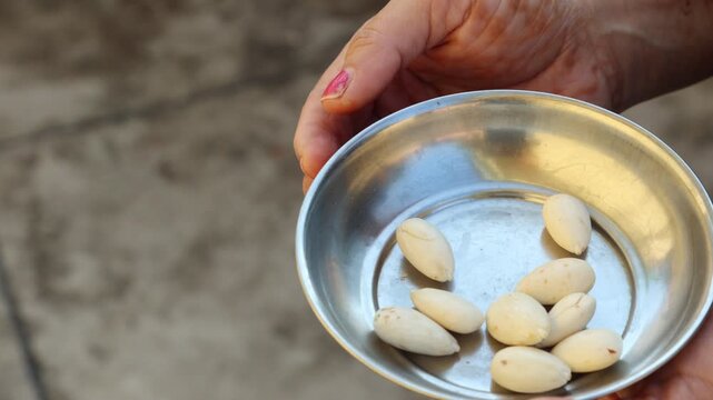 Raw 4K footage of soaked almonds being served in a bowl, showing healthy diet, morning nutrition, and simple daily routine in an Indian lifestyle setting.