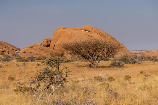 A relatively green desert landscape near Spitzkoppe, a famous landmark in Namibia.