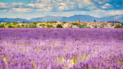 Hilltop Puimoisson village, France. Provence landscape with lavender fields. Plateau Valensole,...