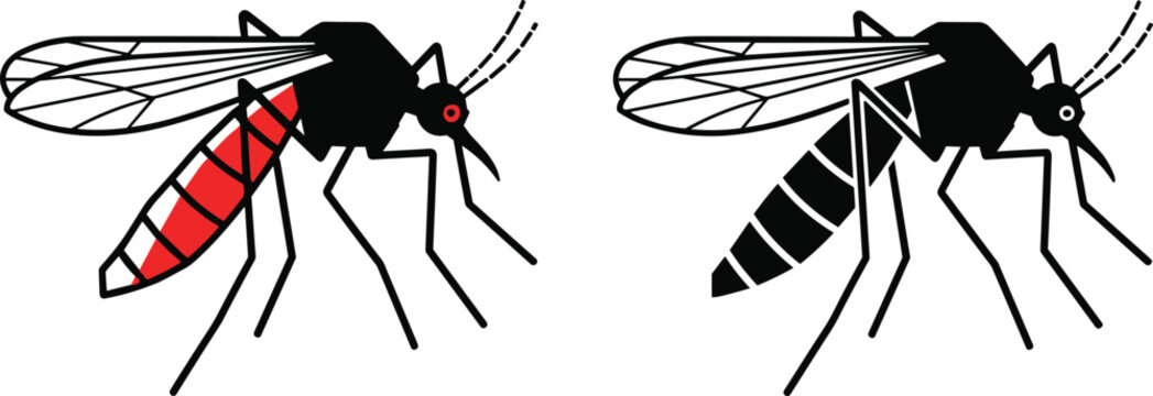 Mosquito Icon Set Featuring Detailed Black and White Silhouette and Blood-Filled Red Abdomen Versions for Medical, Health, and Disease Prevention Information Designs