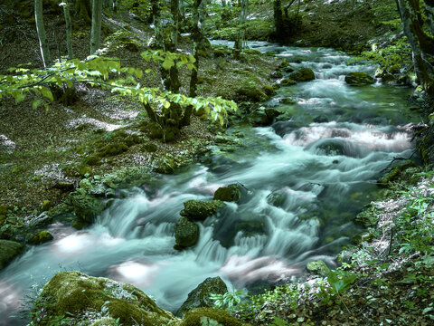 PNALM (Parco Nazionale Abruzzo Lazio e Molise): il Rio Torto