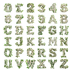 Naklejka premium Jasmine shaped letters and numbers isolated on a white transparent background