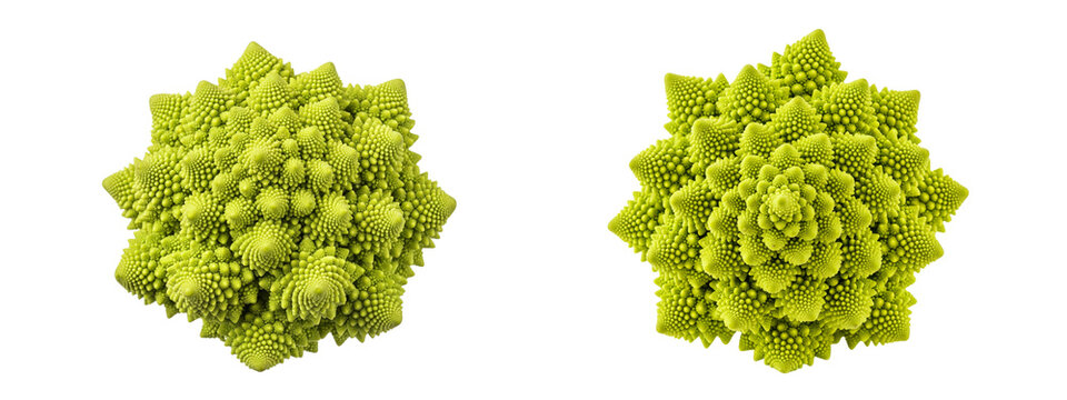 Two fresh Romanesco broccoli heads isolated on a black background
