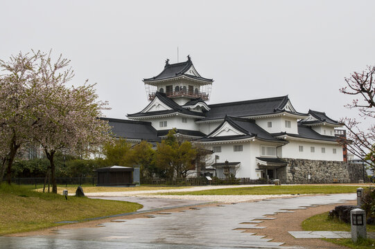 Toyama Castle in spring with cherry blossoms on a rainy day in Toyama, Japan