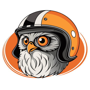 gufo col casco da motociclista 01