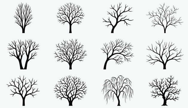 Vector set of black silhouettes of leafless trees