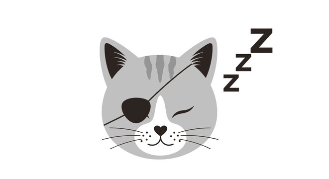Cute grey striped cat head wearing a black eye patch and sleeping peacefully with zzz symbols shown in a simple cartoon illustration.