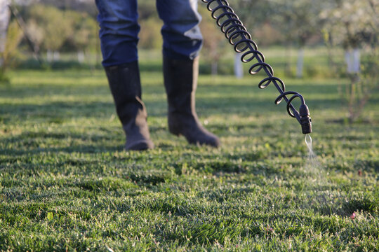Close Up of Herbicide Spraying on Lawn &ndash; Weed Control and Garden Maintenance Concept