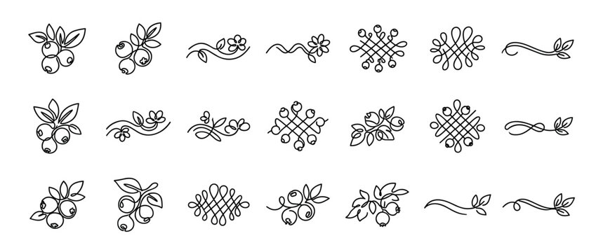 Large set of decorative berry and floral elements drawn in a minimalist continuous line art style, including calligraphic dividers, vignettes, and abstract knot patterns for design